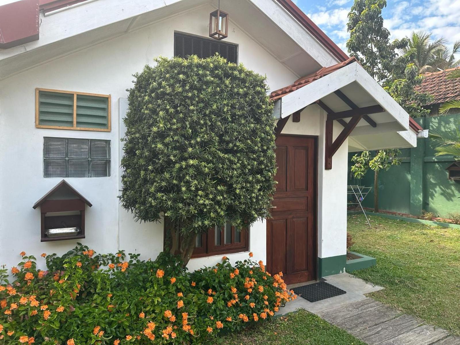 Hamilton House Hotel Negombo Kültér fotó